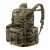 Tiger Stripe +10,00€
