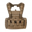 Coyote Brown